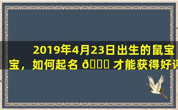 2019年4月23日出生的鼠宝宝，如何起名 💐 才能获得好评